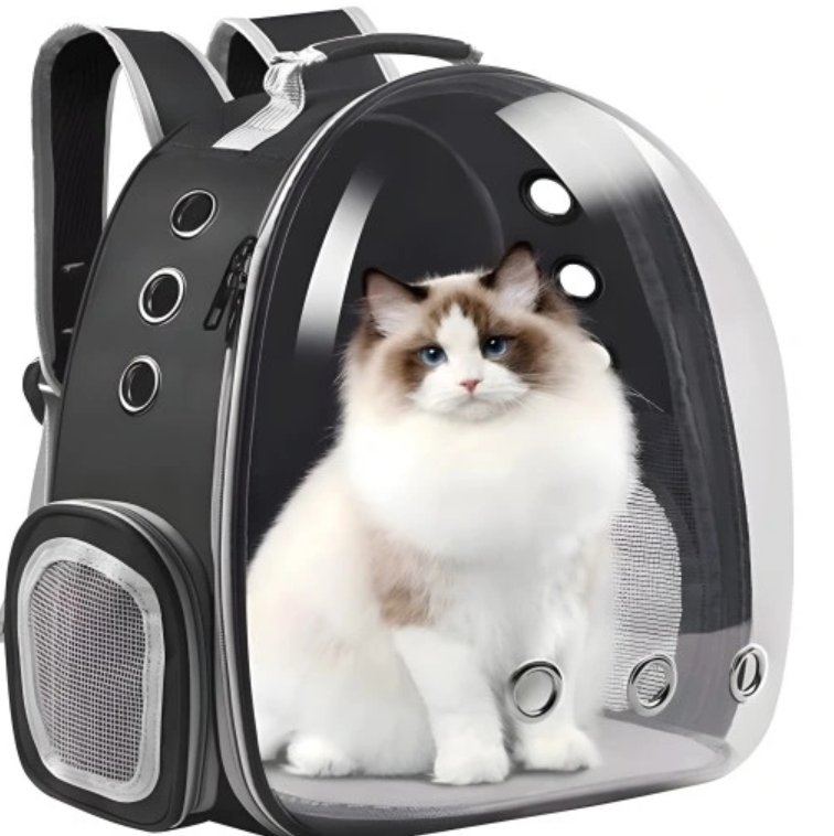 d399d31ebb620dae06a5ef9c5ff6a2cc d399d31ebb620dae06a5ef9c5ff6a2cc